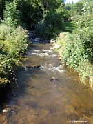 Le Ruisseau de la Croslière, à La Longine